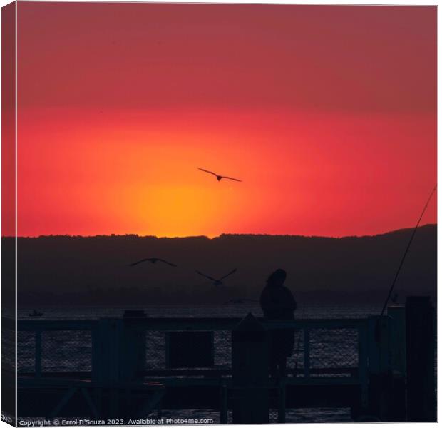 Pilot Bay Sunset Canvas Print by Errol D'Souza