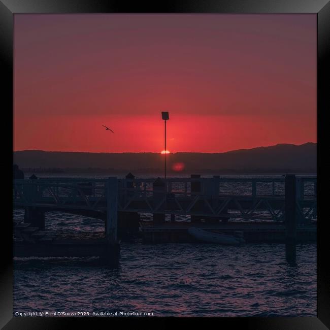 Pilot Bay Sunset Framed Print by Errol D'Souza