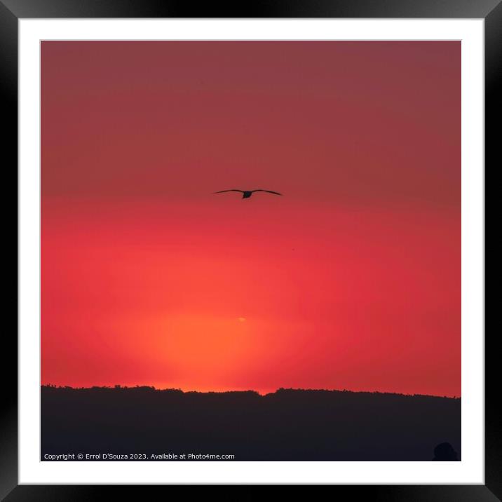 Pilot Bay Sunset Framed Mounted Print by Errol D'Souza