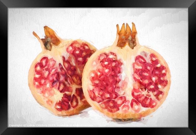 Oil painting fresh fruit - pomegranate Framed Print by Lubos Chlubny