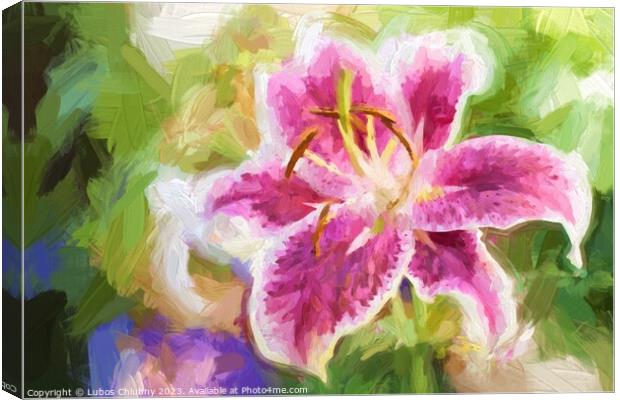 Oil painting Lily pink flower  Canvas Print by Lubos Chlubny
