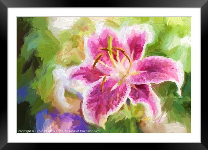 Oil painting Lily pink flower  Framed Mounted Print by Lubos Chlubny
