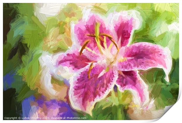Oil painting Lily pink flower  Print by Lubos Chlubny