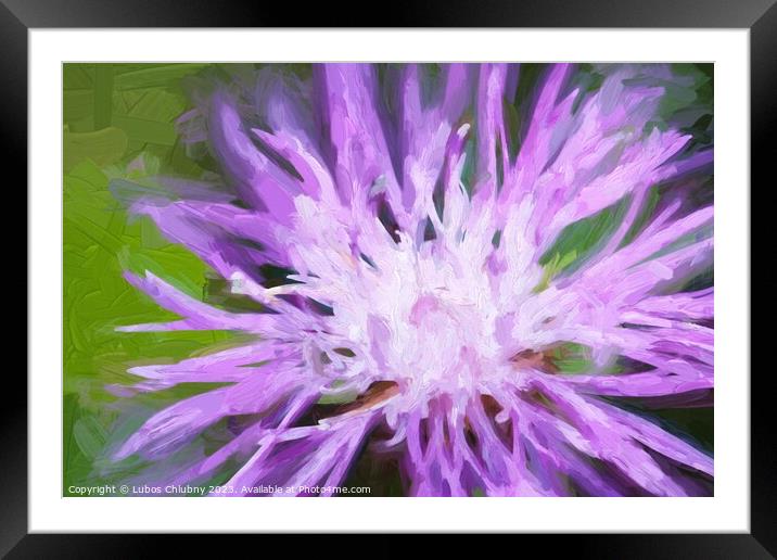 Oil painting Cornflower on a green meadow  Framed Mounted Print by Lubos Chlubny