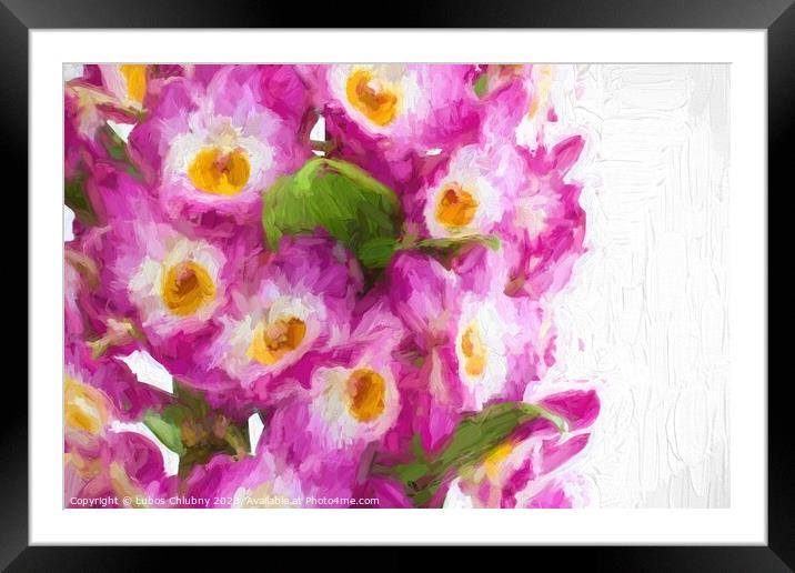 Oil painting pink dendrobium orchid flowers Framed Mounted Print by Lubos Chlubny