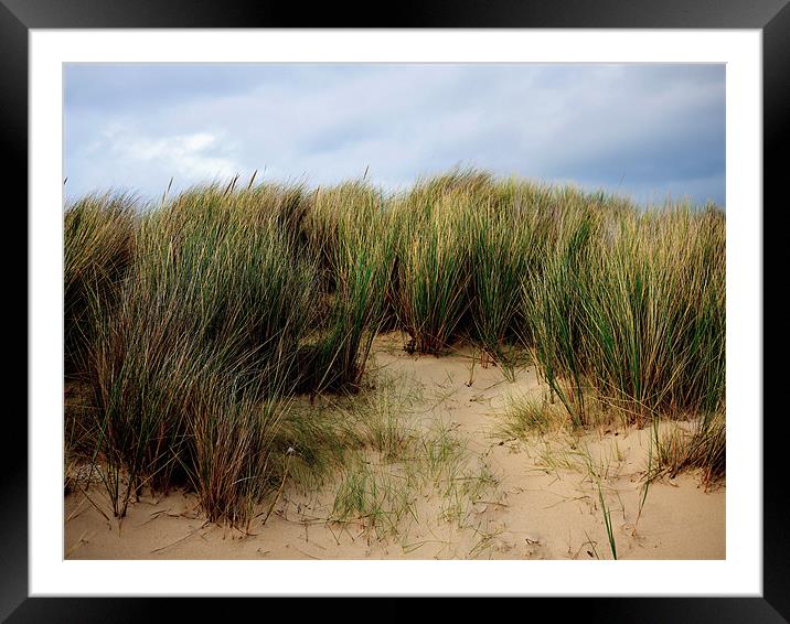 Beach Grass Framed Mounted Print by Louise Godwin