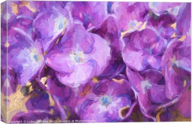 Oil painting Blue hydrangea flowers Canvas Print by Lubos Chlubny