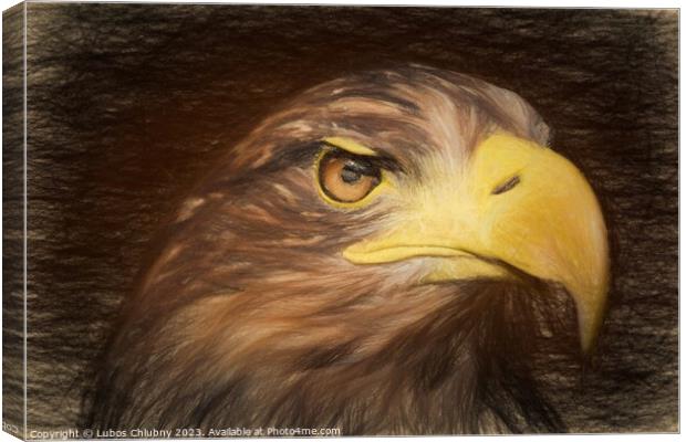 Pencil sketch with the image of a sea eagle Canvas Print by Lubos Chlubny