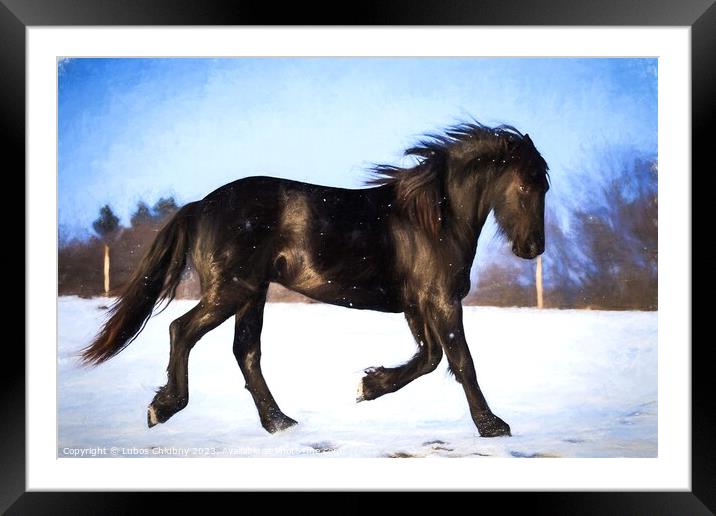 Oil painting foal Friesian horse running in the snow Framed Mounted Print by Lubos Chlubny