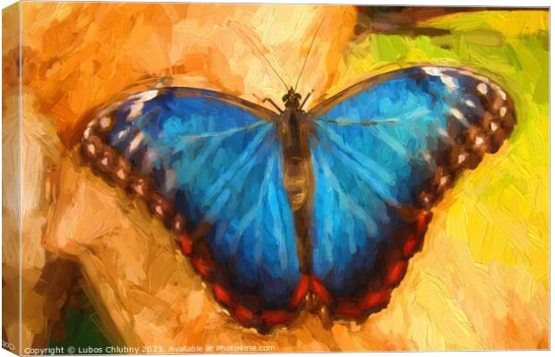 Oil painting blue butterfly Canvas Print by Lubos Chlubny