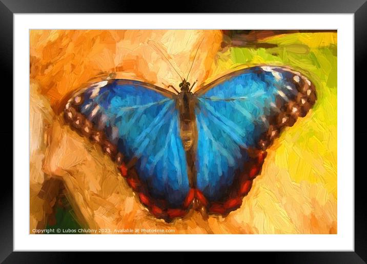 Oil painting blue butterfly Framed Mounted Print by Lubos Chlubny