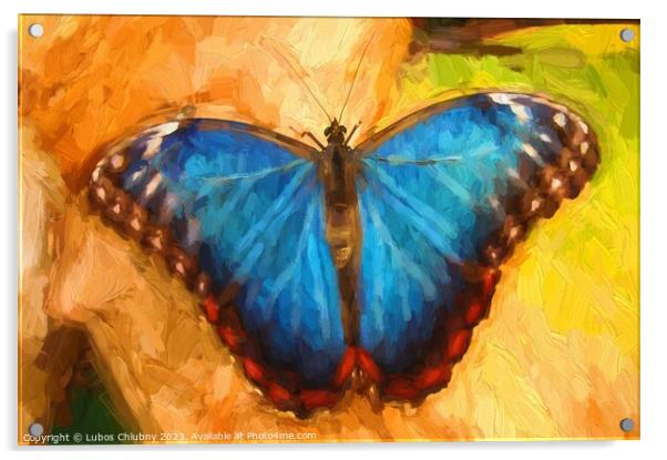 Oil painting blue butterfly Acrylic by Lubos Chlubny