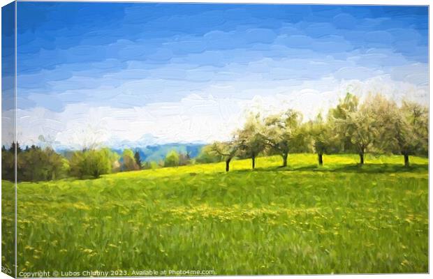 Oil painting spring landscape - green meadow and fruit trees. Original oil painting on canvas. Canvas Print by Lubos Chlubny