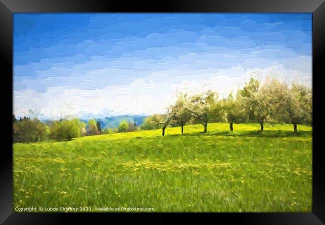 Oil painting spring landscape - green meadow and fruit trees. Original oil painting on canvas. Framed Print by Lubos Chlubny