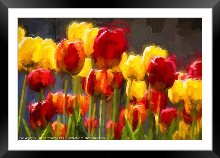 Beautiful spring flowers Framed Mounted Print by Lubos Chlubny