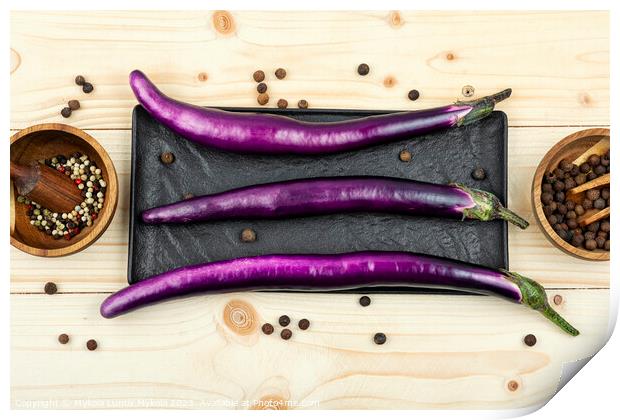 Small fresh purple eggplants Print by Mykola Lunov Mykola