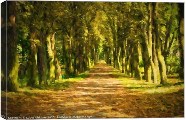 Oil painting pathway through the autumn forest.  Canvas Print by Lubos Chlubny