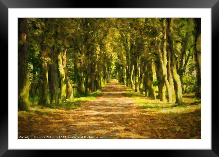 Oil painting pathway through the autumn forest.  Framed Mounted Print by Lubos Chlubny