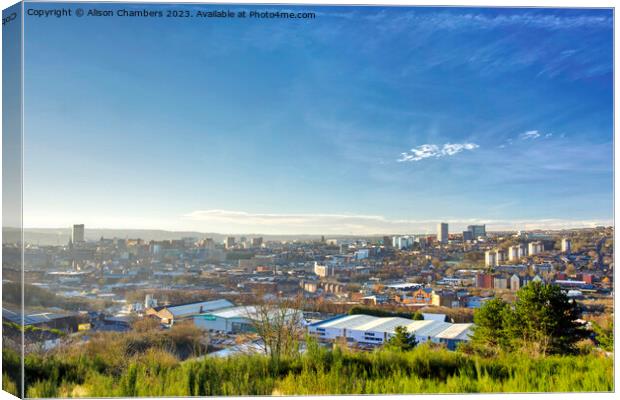 Sheffield Skyline View Canvas Print by Alison Chambers