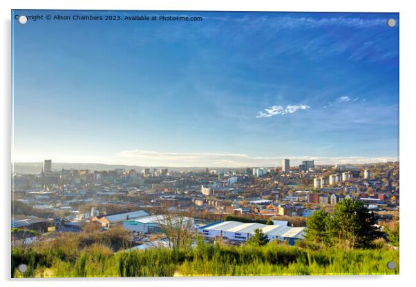 Sheffield Skyline View Acrylic by Alison Chambers