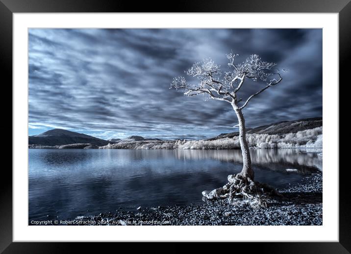 Solitary Sentinel Framed Mounted Print by Robert Strachan