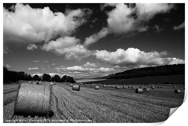 Sussex Harvest Field Print by Phil Clements