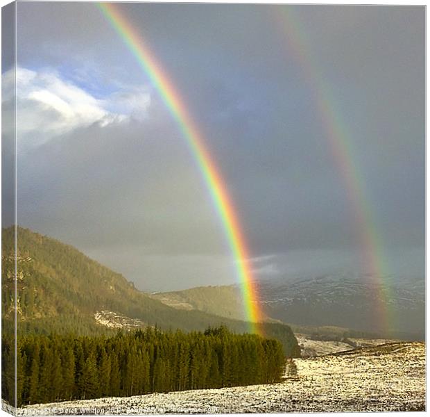 Double Rainbow over Strathmashie Canvas Print by Derek Whitton