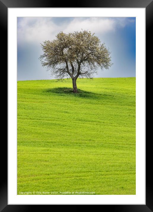Solitary tree in Tuscany Framed Mounted Print by Dirk Rüter