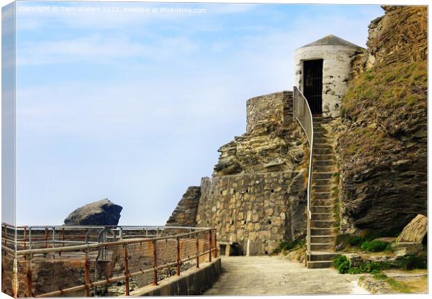 Lower Pilots Lookout Portreath Canvas Print by Terri Waters