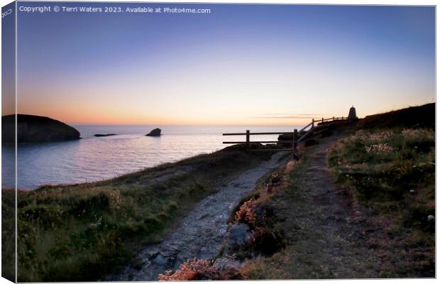 Twilight at Pepperpot Hill Portreath Canvas Print by Terri Waters