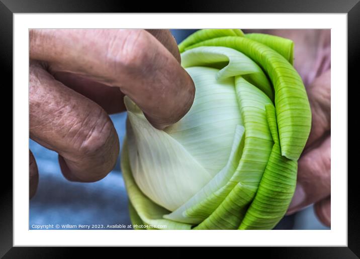 Unfolding Lotus Bud To Show Purity Grand Palace Bangkok Thailand Framed Mounted Print by William Perry
