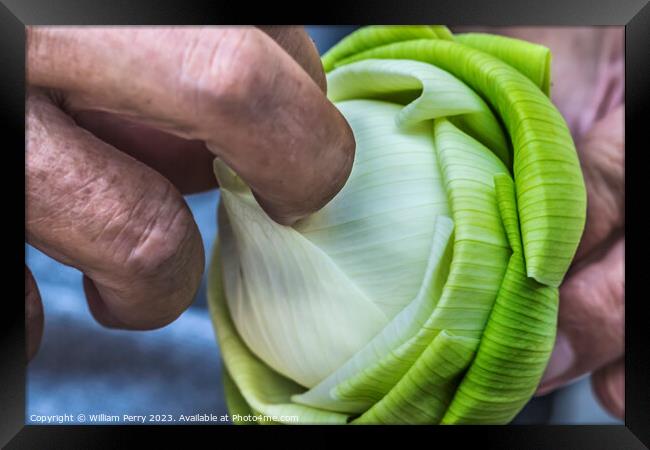 Unfolding Lotus Bud To Show Purity Grand Palace Bangkok Thailand Framed Print by William Perry