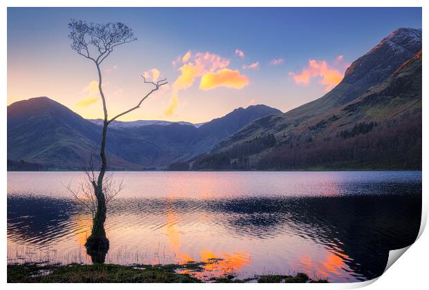 Serenity in Buttermere Print by Tim Hill