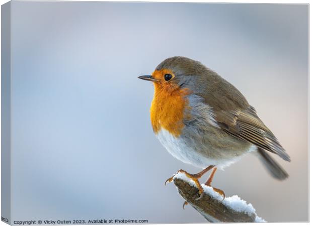 A European robin standing on a snowy branch Canvas Print by Vicky Outen