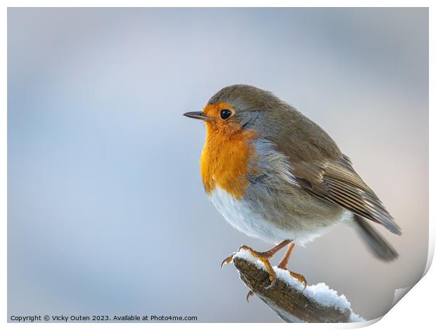 A European robin standing on a snowy branch Print by Vicky Outen