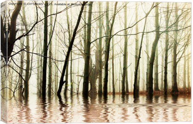 GHOST TREES Canvas Print by CATSPAWS 