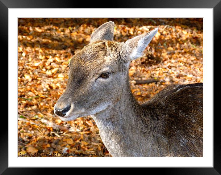 Little Deer ! Framed Mounted Print by karen grist