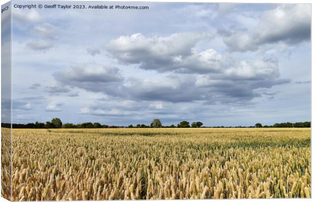 Over the fields Canvas Print by Geoff Taylor