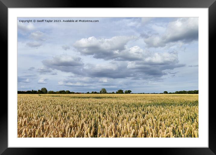Over the fields Framed Mounted Print by Geoff Taylor
