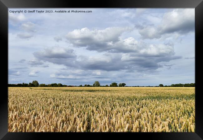 Over the fields Framed Print by Geoff Taylor