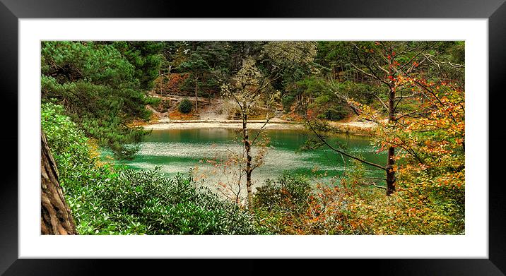 Blue Pool Green Pool Framed Mounted Print by Louise Godwin