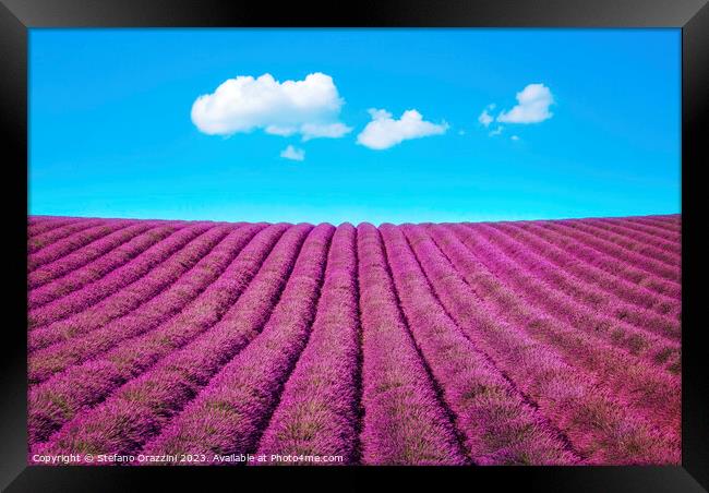Lavender flower field and some clouds. Framed Print by Stefano Orazzini