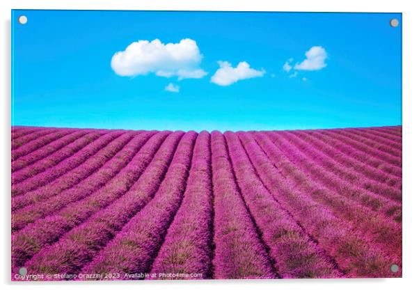Lavender flower field and some clouds. Acrylic by Stefano Orazzini