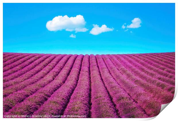 Lavender flower field and some clouds. Print by Stefano Orazzini