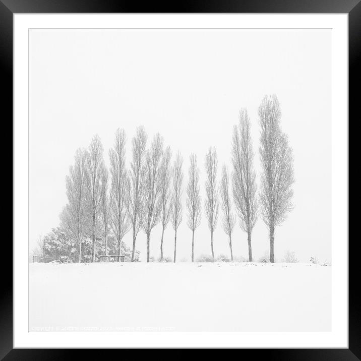 13 Trees Under the Snowfall Framed Mounted Print by Stefano Orazzini