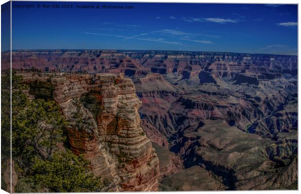 The Mighty Canyon Canvas Print by Ron Ella