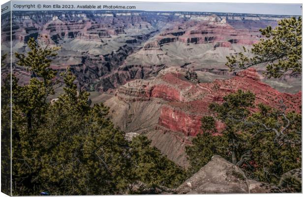 Majestic Grand Canyon Canvas Print by Ron Ella