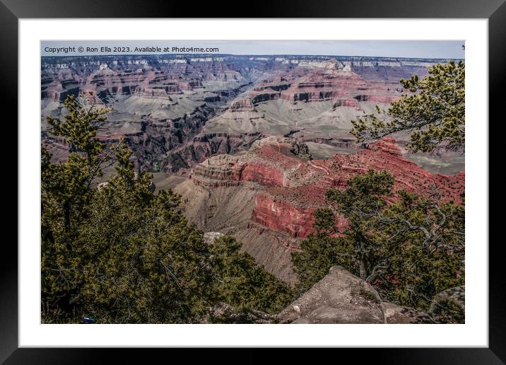Majestic Grand Canyon Framed Mounted Print by Ron Ella
