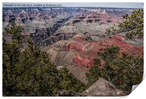 Majestic Grand Canyon Print by Ron Ella