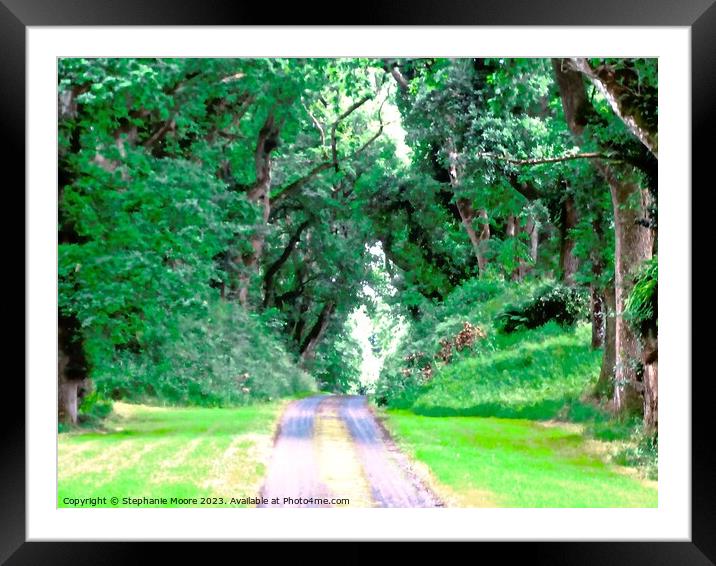 Private drive to Colebrooke Manor Framed Mounted Print by Stephanie Moore